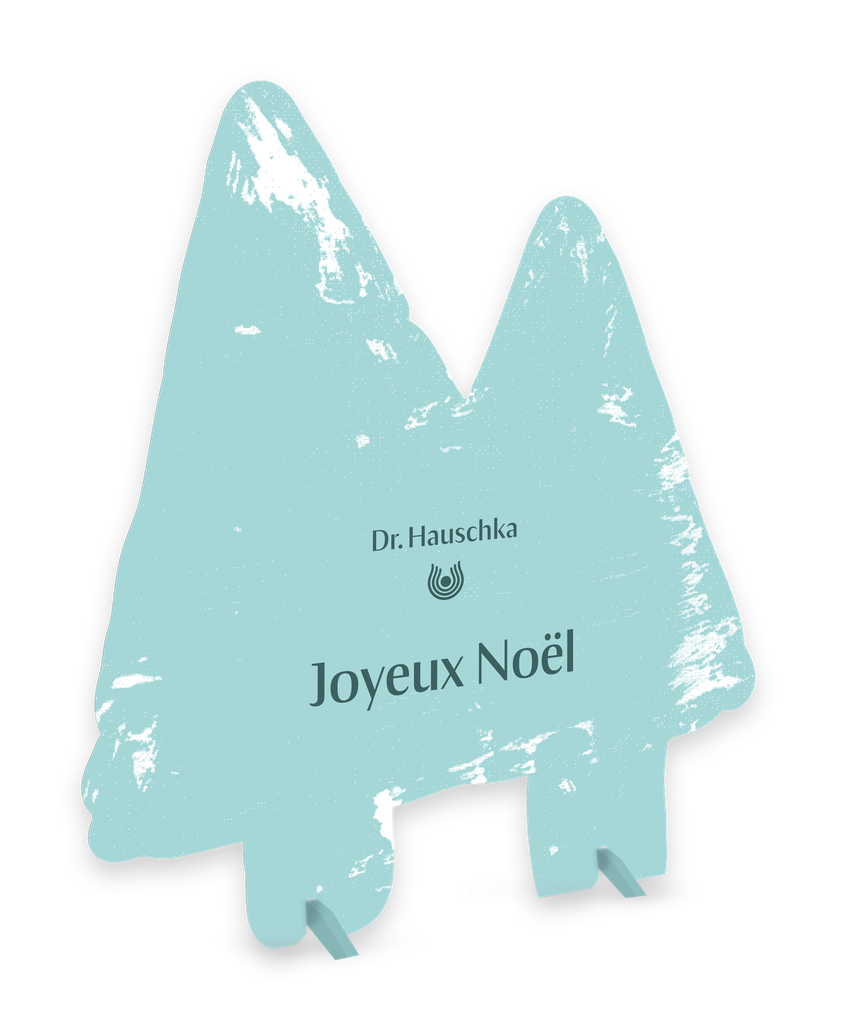 Kit linéaire et vitrine Noël 2024