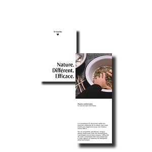 Flyer institutionnel Dr. Hauschka