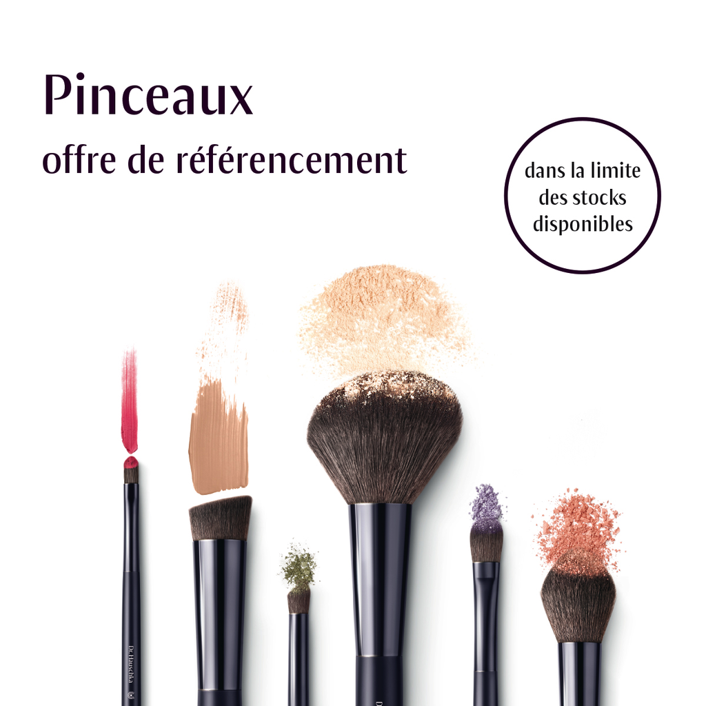 Offre de référencement pinceaux
